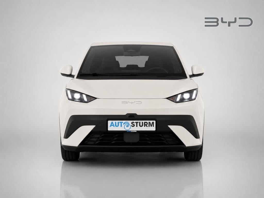 Byd Dolphin Surf comfort 43 kwh