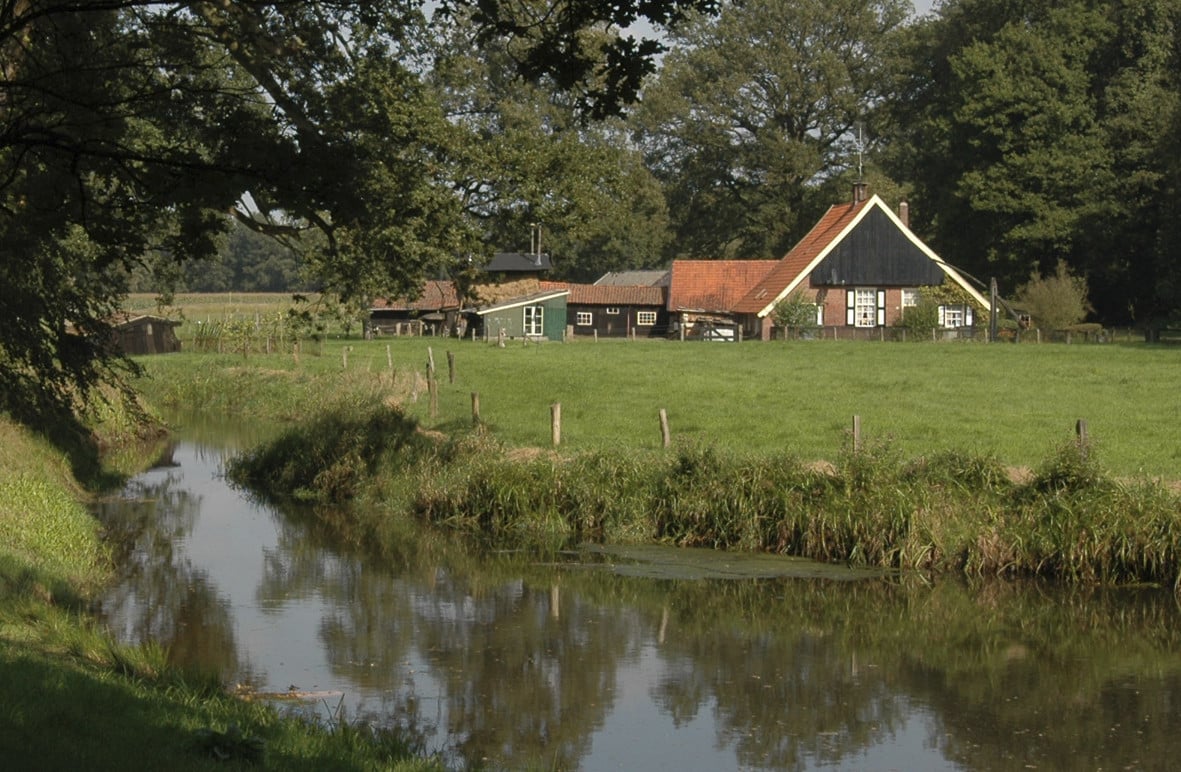 Schilderij van Ton Ancone