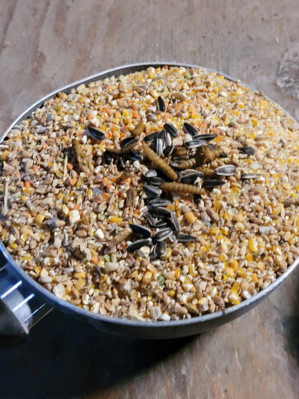 Super Kippenvoer  60 ct./ kg. gemalen, grof/fijn