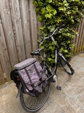 Gazelle comfort elektrische fiets