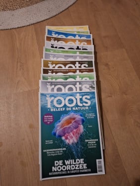 12 x Roots 2024-2023