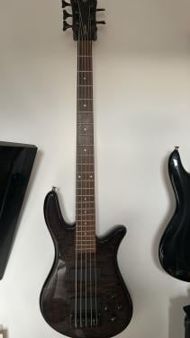 Spector Precision 5 string basgitaar