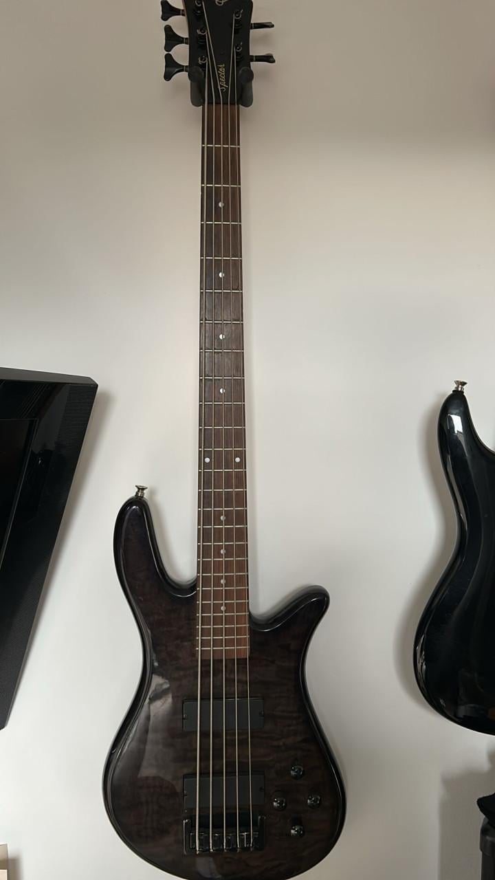 Spector Precision 5 string basgitaar