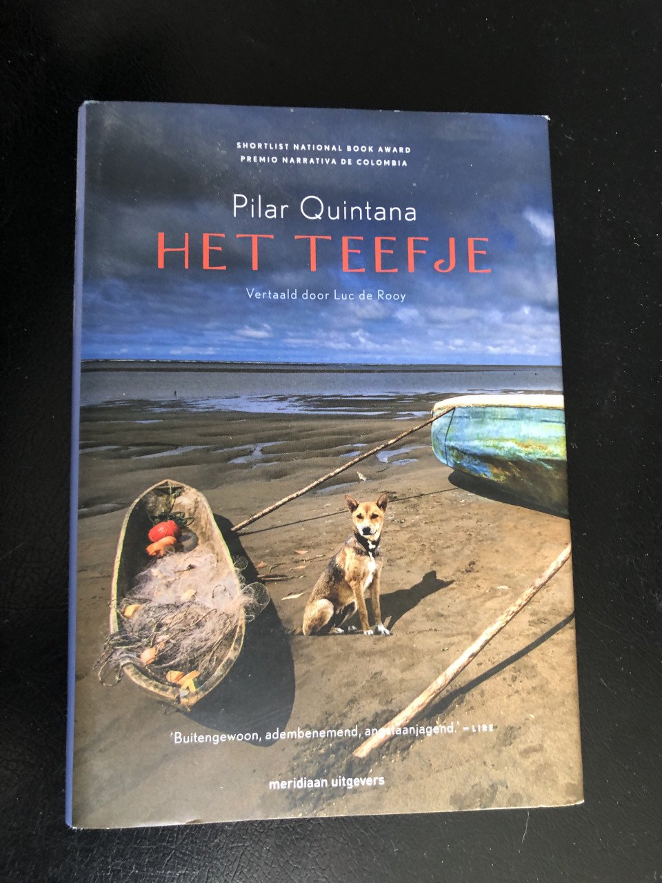 Mooie romans van oa Hilary Mantel
