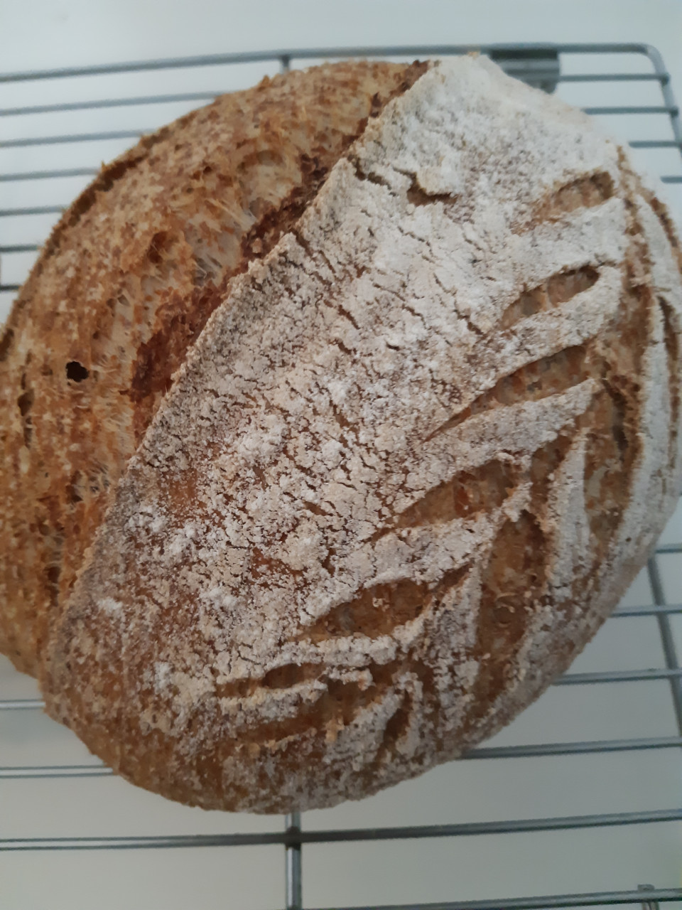 Workshop desembrood