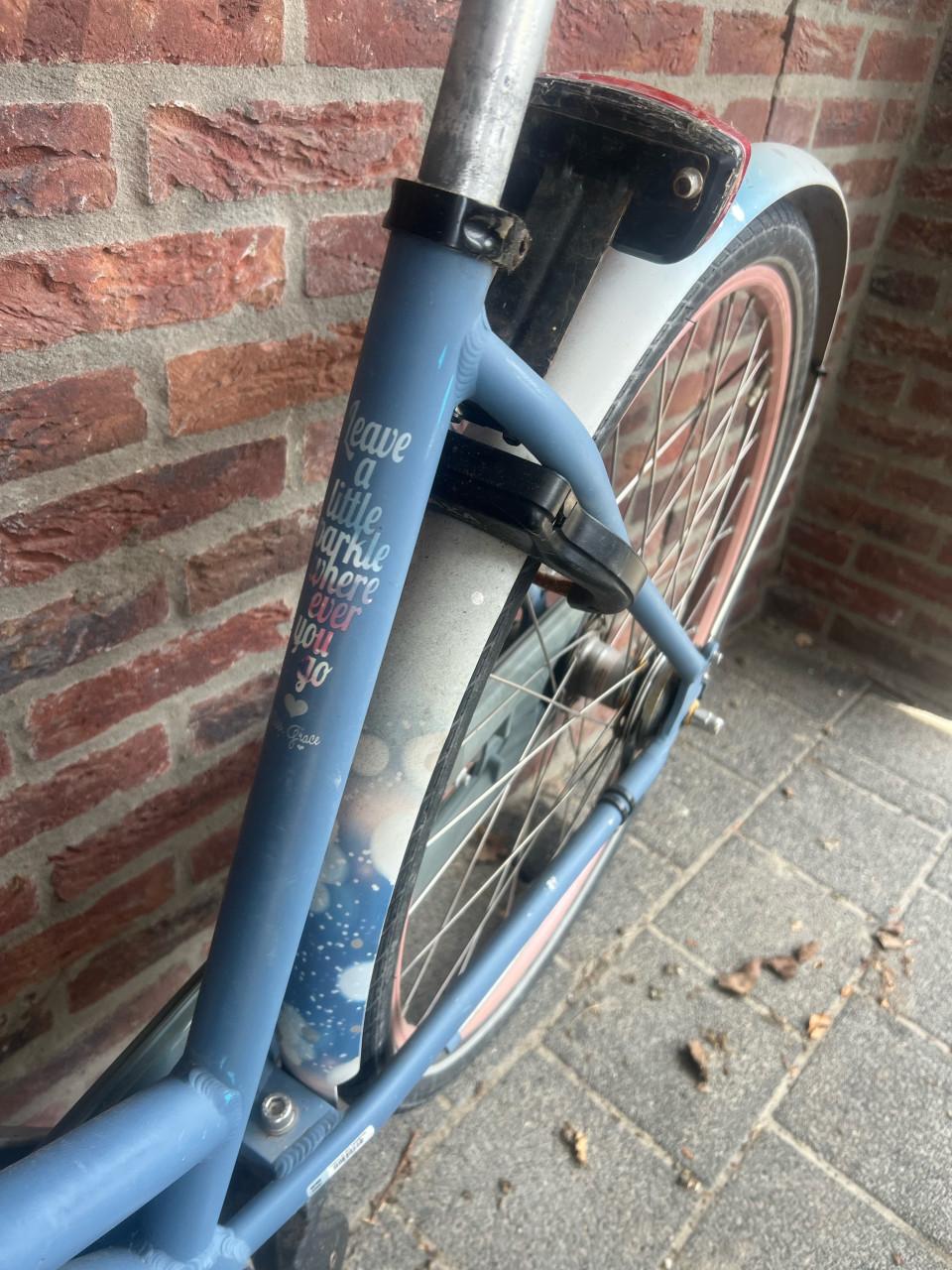 Meidenfiets miss grace 49 cm