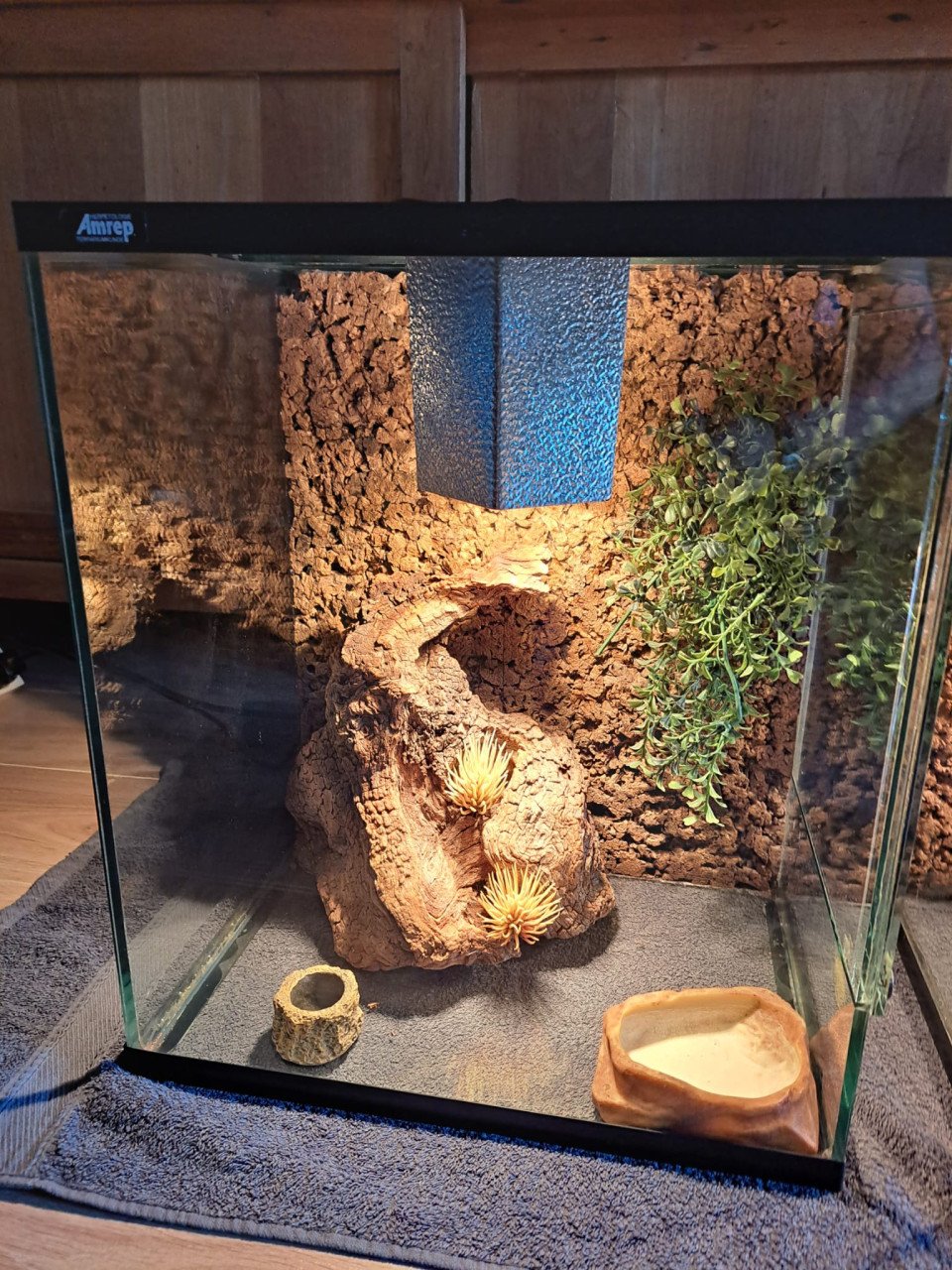 Terrarium te koop