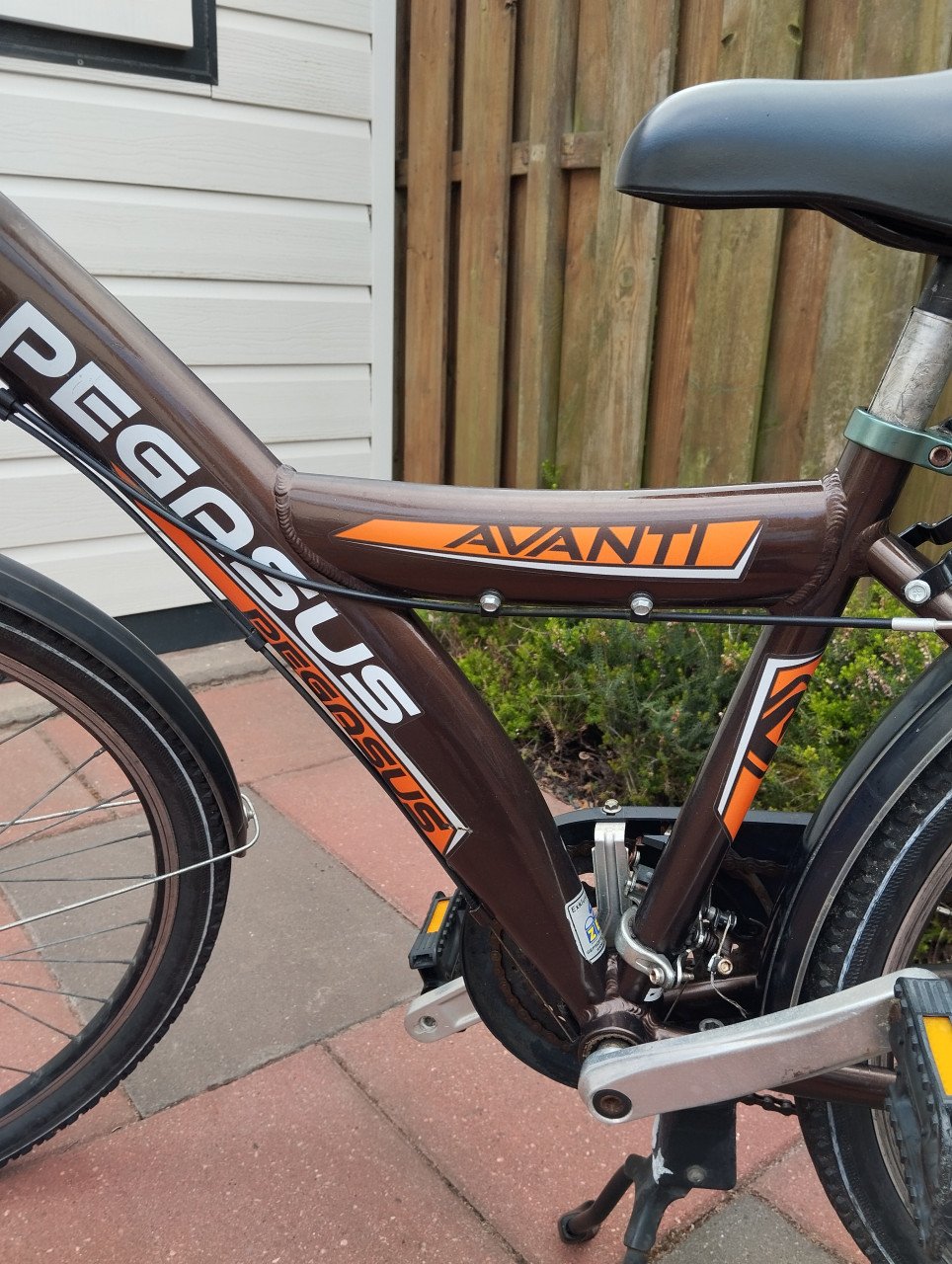 PEGASUS AVANTI 26 inch