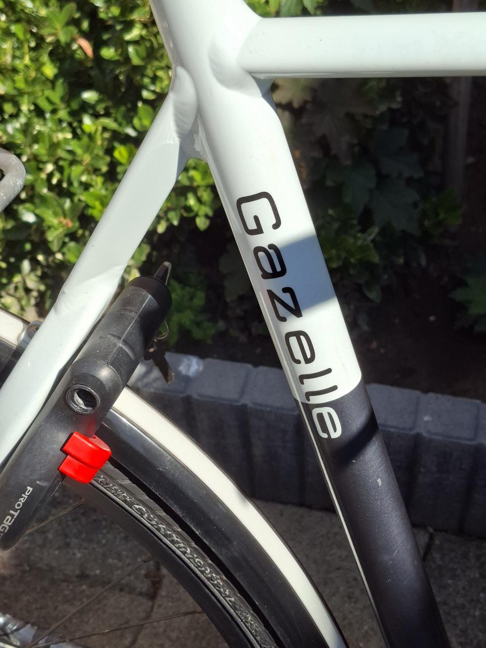 Gazelle Eclipse Limited Edition