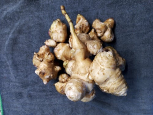 Aardpeertjes