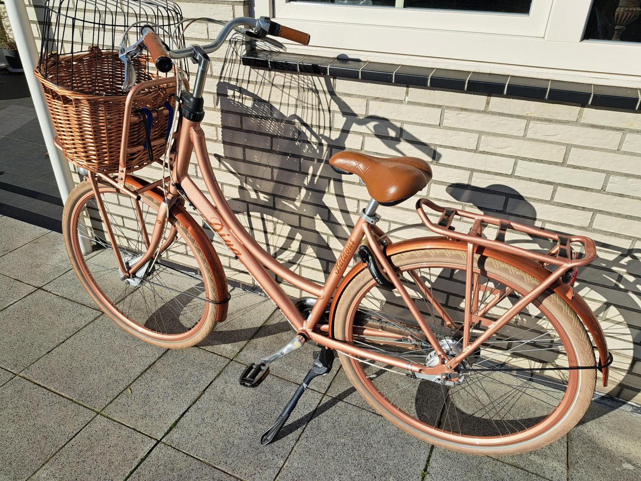 Batavus Diva 7 brons frame 50