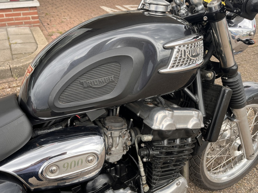 Triumph Thunderbird