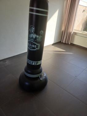 Boxbal te koop