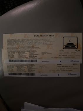 Vouchers demi pension plus Disneyland Parijs