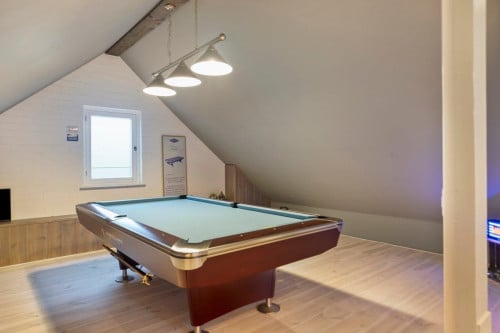 Professionele pooltafel met verlichting en alle benodigdheden