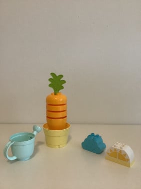 Duplo groeiende wortel