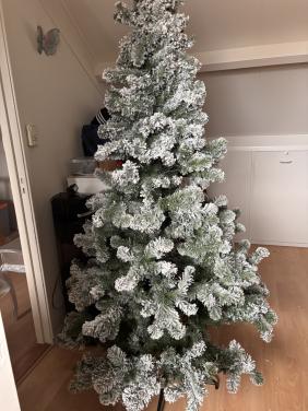 Kerstboom