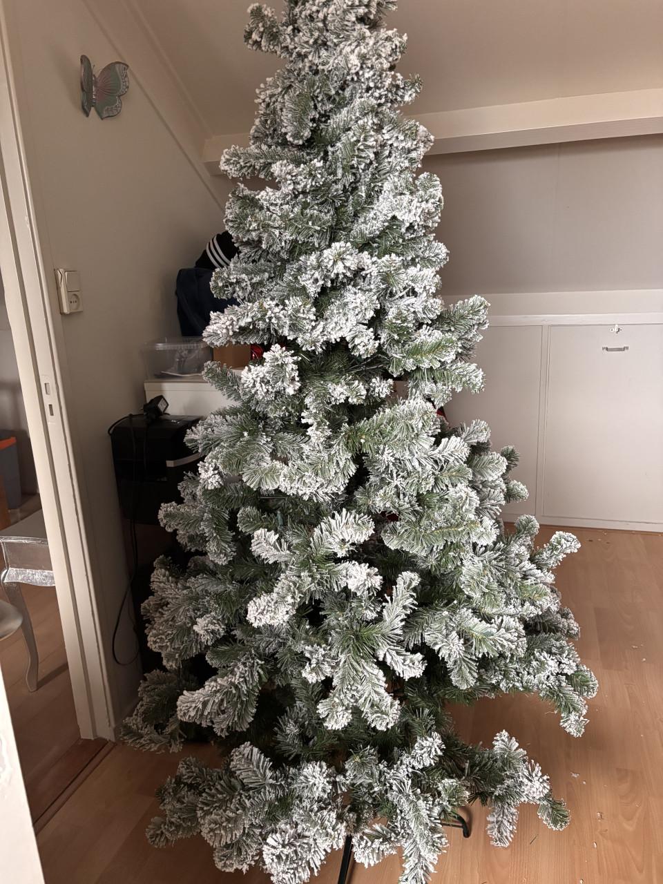Kerstboom