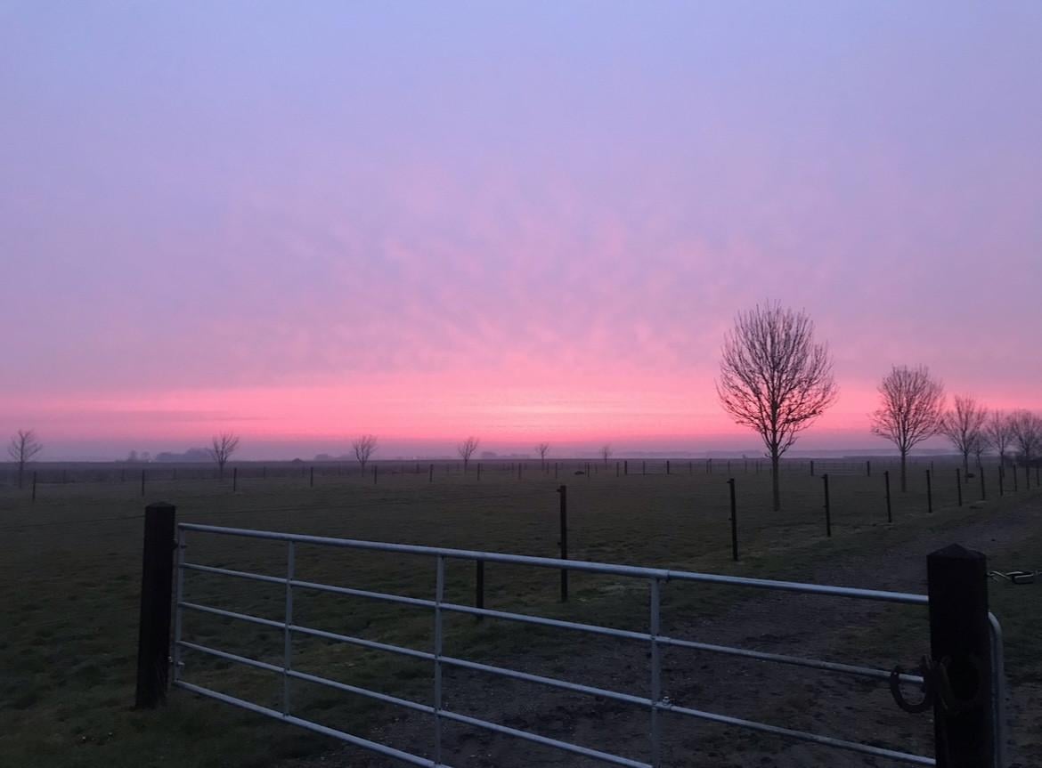 Paardenstalling per direct