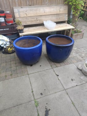 2 blauwe grote bloempotten
