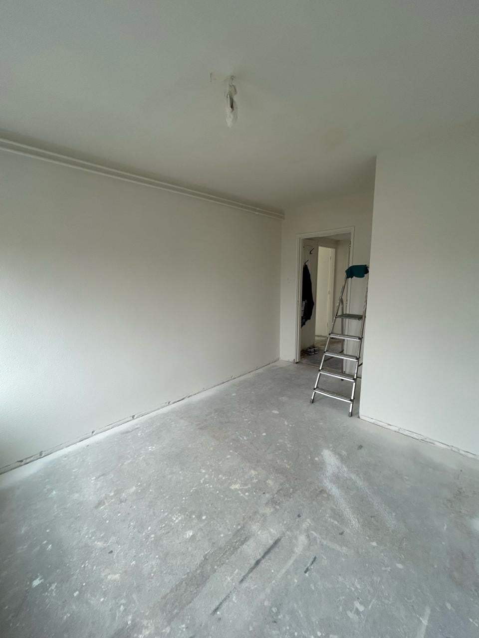 Wagner airless verfspuit 250R