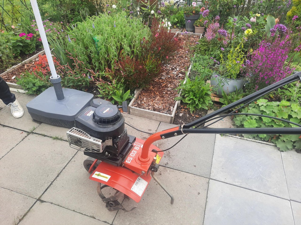 Tuinfrees