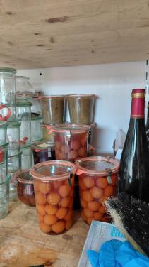 Weckpotten