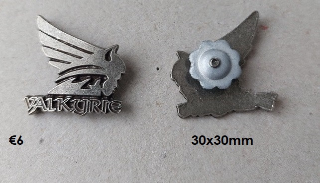 Metalen Motorpins  NIEUW