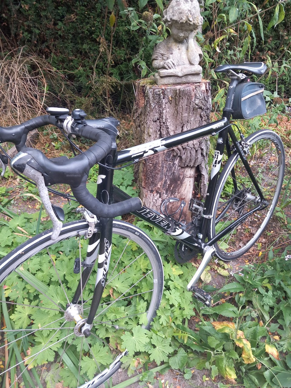RACEFIETS Stevens Aspin