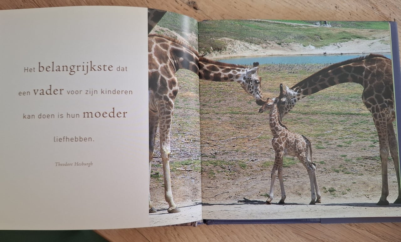 De mooiste uitspraken over vaders, verzameld door Gerd de Ley