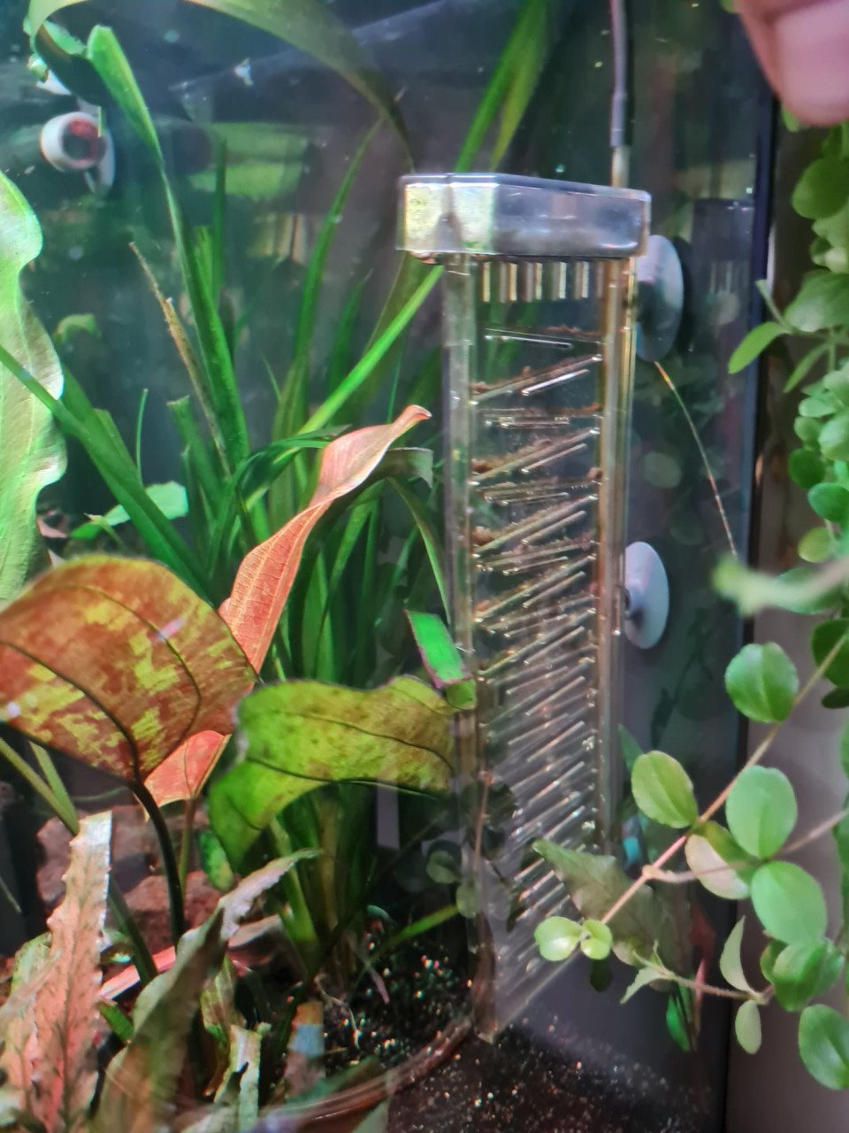Aquarium Juwel Vision(oude type) met veel accessoires