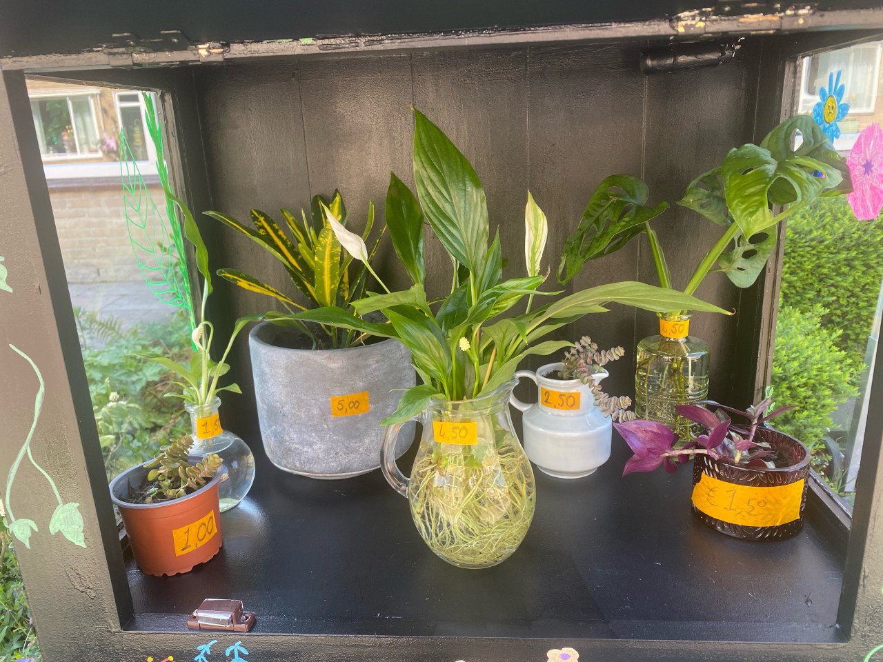 Planten en Stekjes
