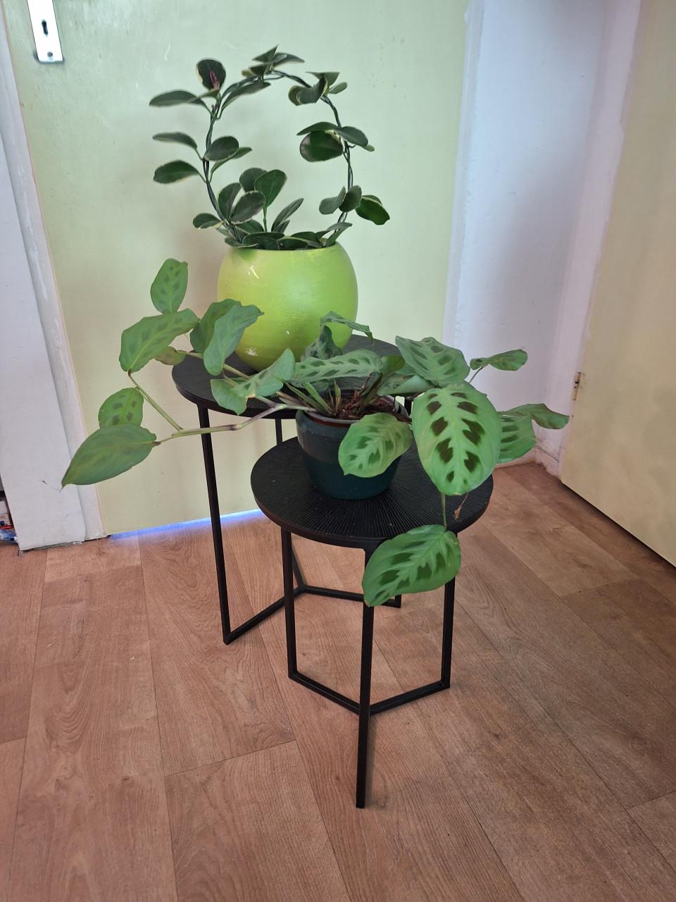 2 tafeltjes