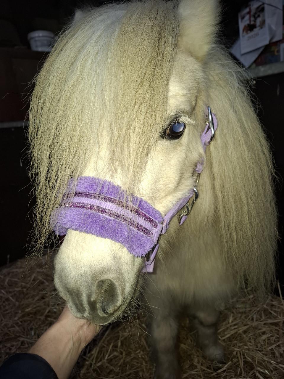 Halster mini Horka, met bont.