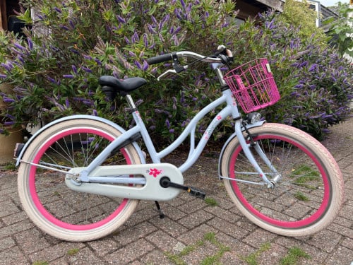 Meisjesfiets 22 inch