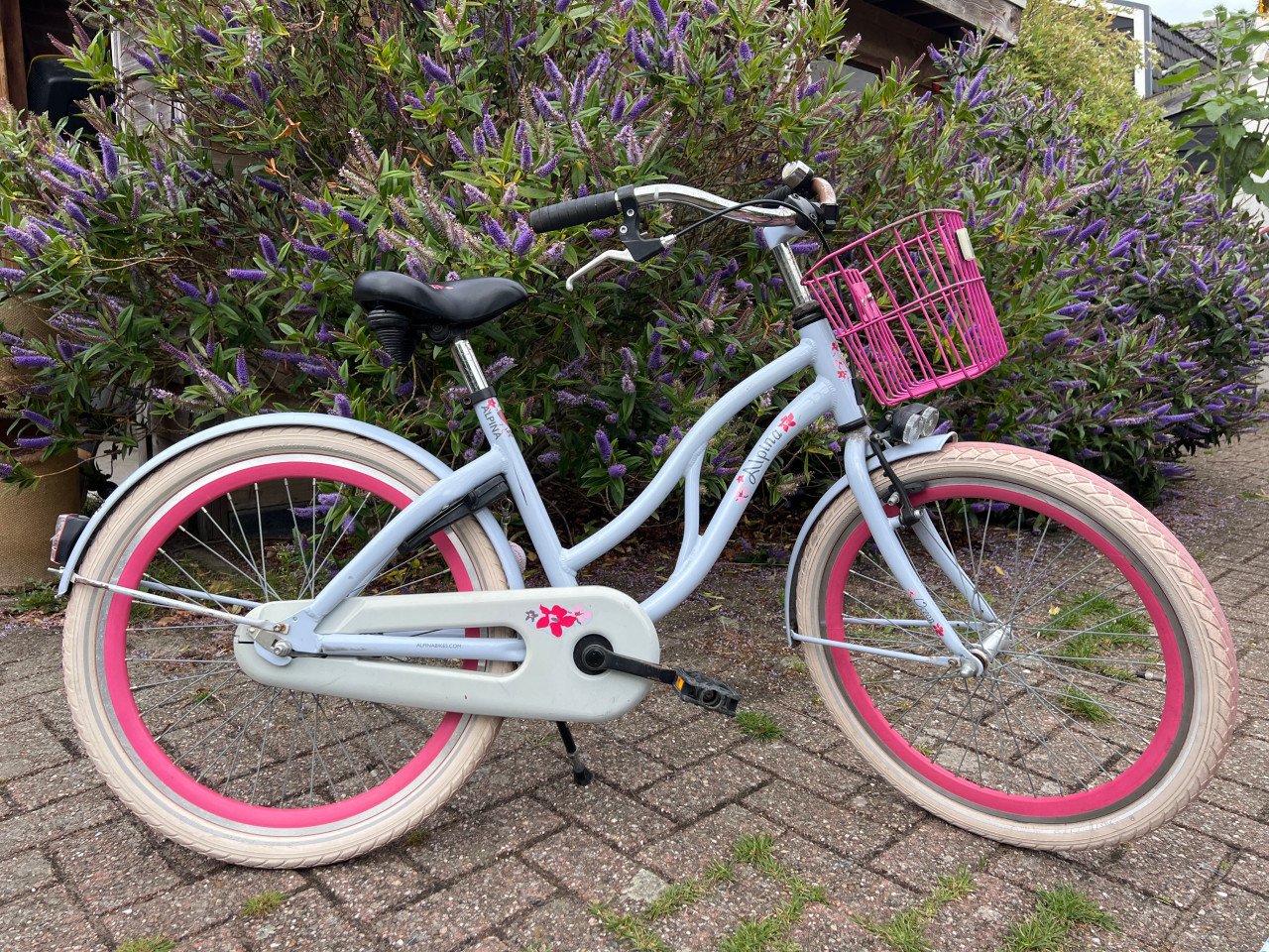 Meisjesfiets 22 inch