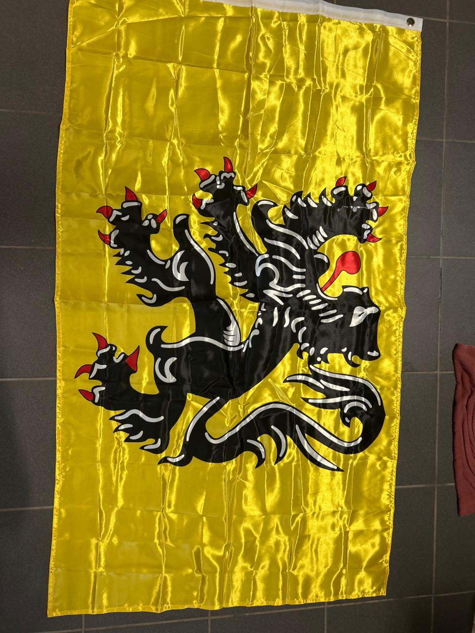 Vlag van vlaanderen