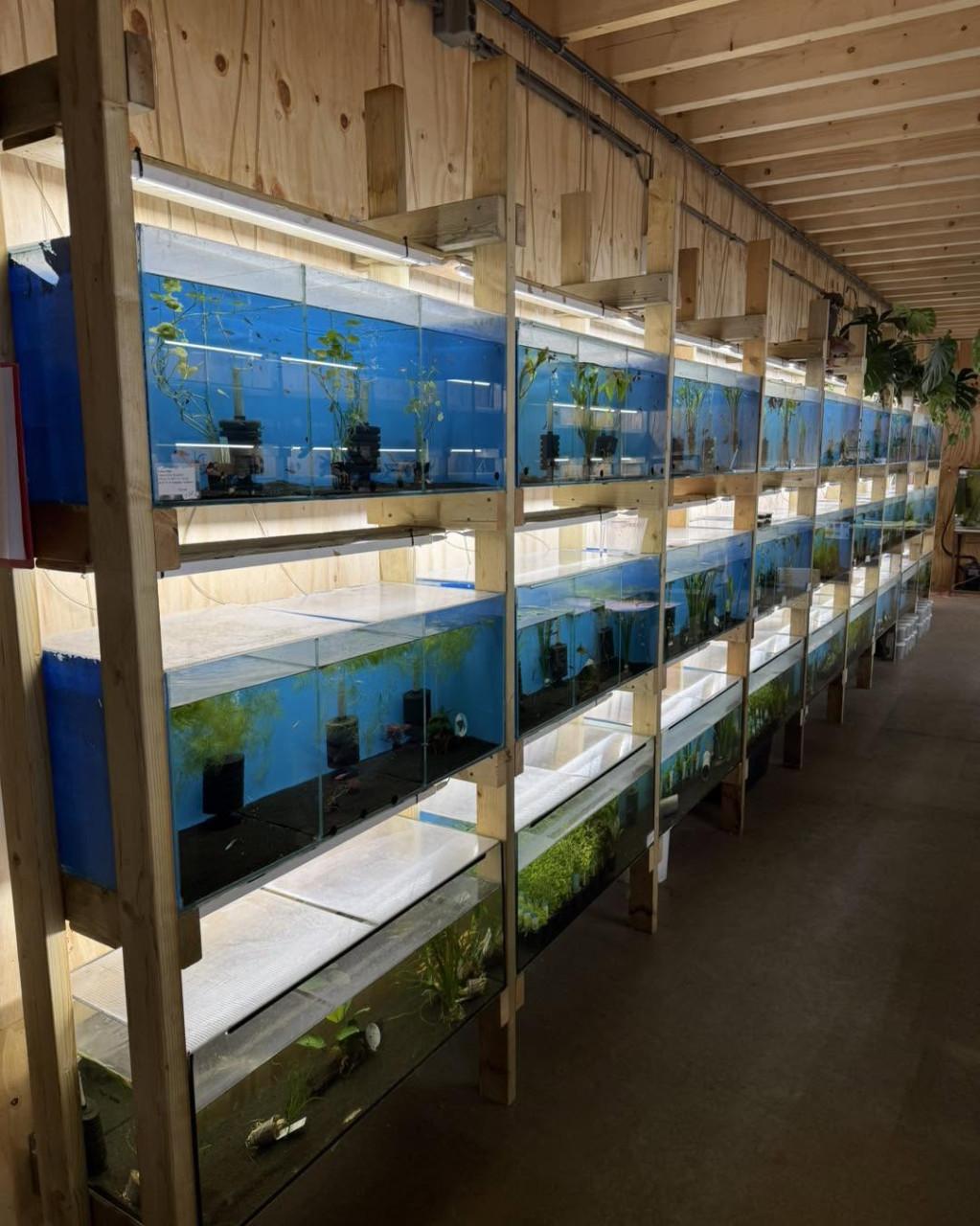 Aquarium, Terrarium & Vijver – Kom langs in onze winkel!