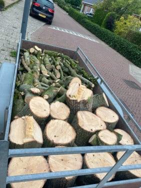 Kachelhout
