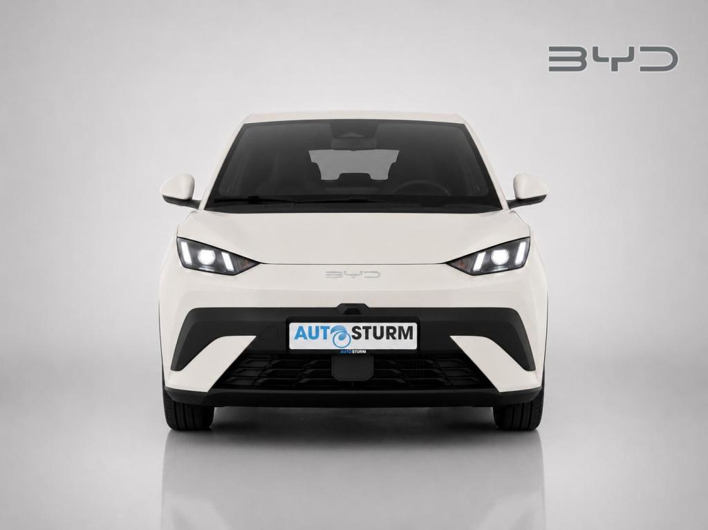 Byd Dolphin Surf boost 43 kwh