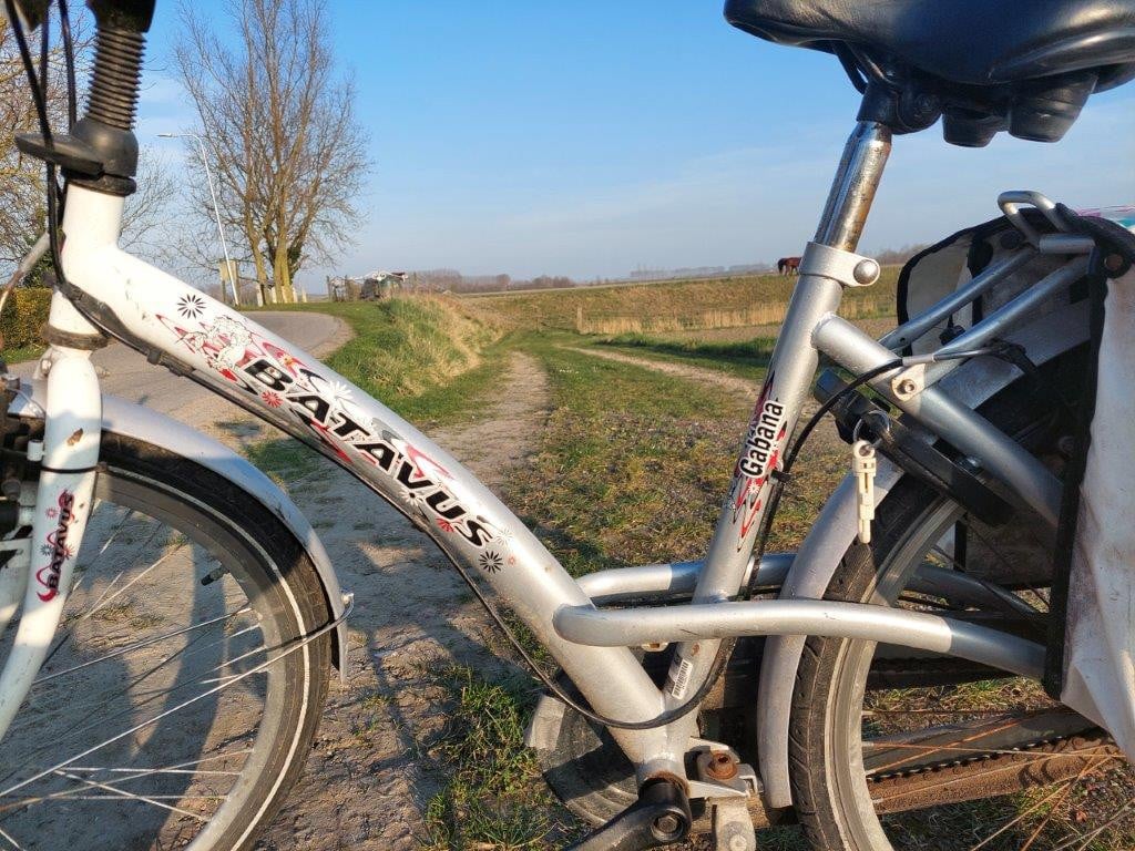 Meidenfiets 26 inch