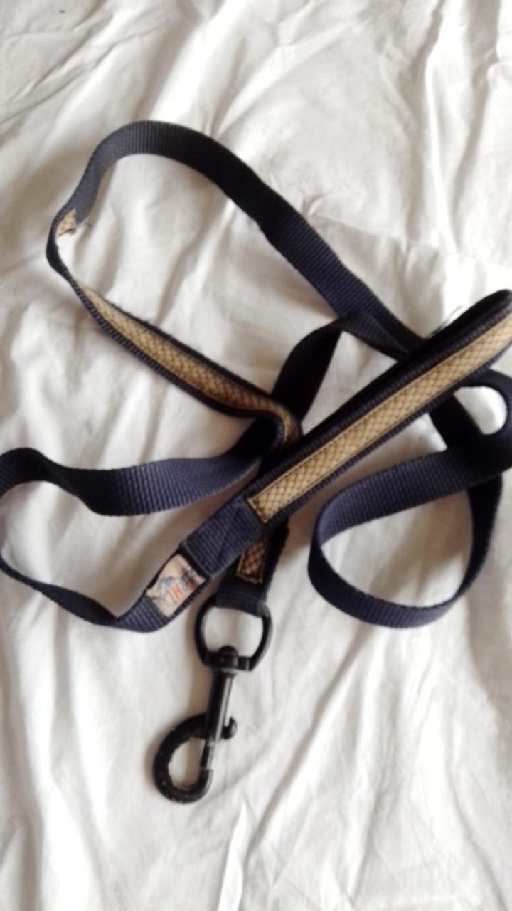 Heel veel paarden benodigdheden te koop wegens beëindigen hobby.