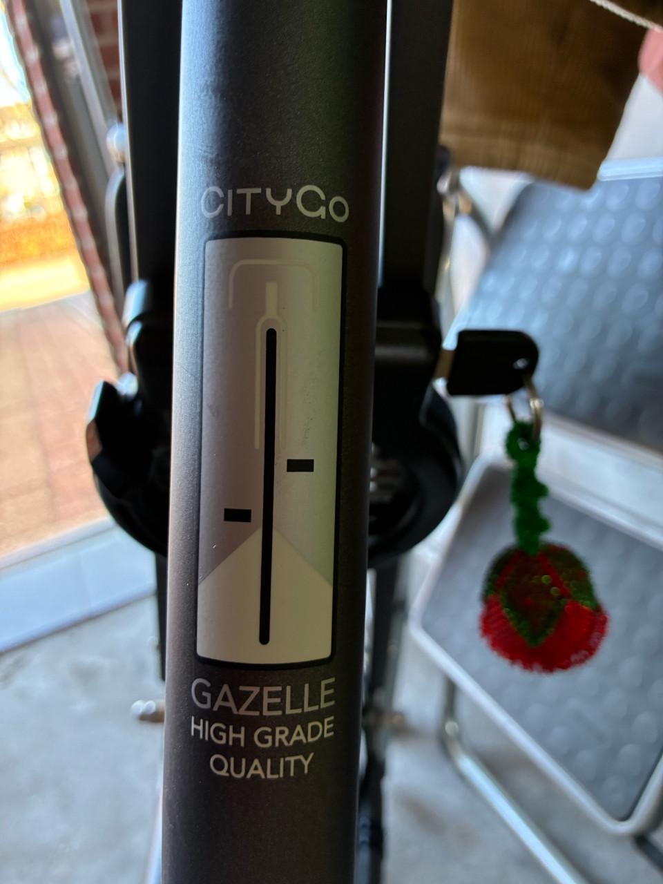 Gazelle city go maat 59