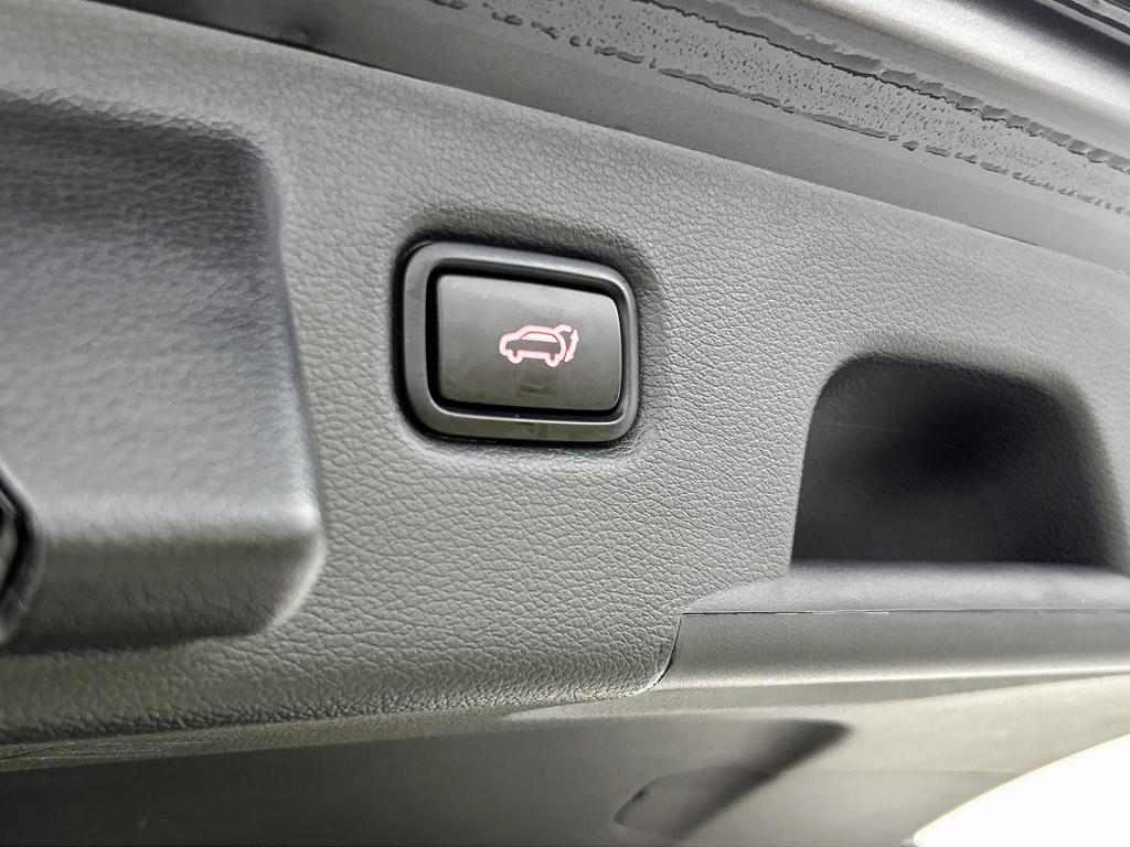 Kia Ceed Sportswagon 1.5 t-gdi gt-line | panoramadak | stoel/stuurverwarmin