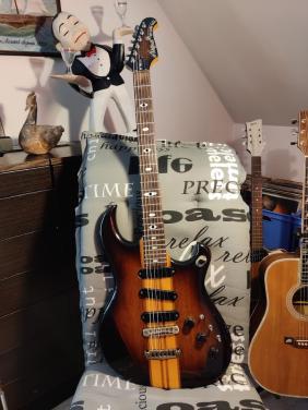 Stevige Aria gitaar voor kenners.