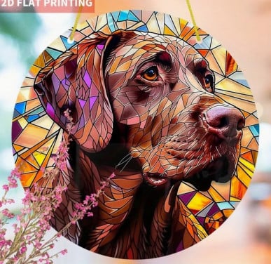 Raamhanger labrador ( zeer kleurrijk )