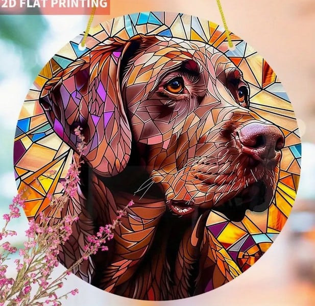 Raamhanger labrador ( zeer kleurrijk )