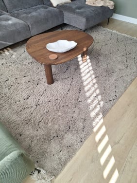 Mooi vloerkleed van 200 x 300