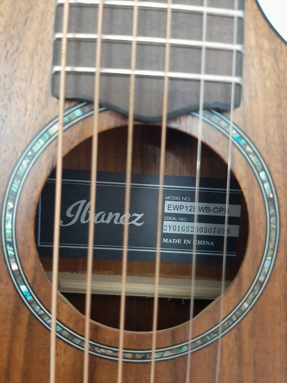Ibanez EWP Series EWP12WB Electric Acoustic travel guitar