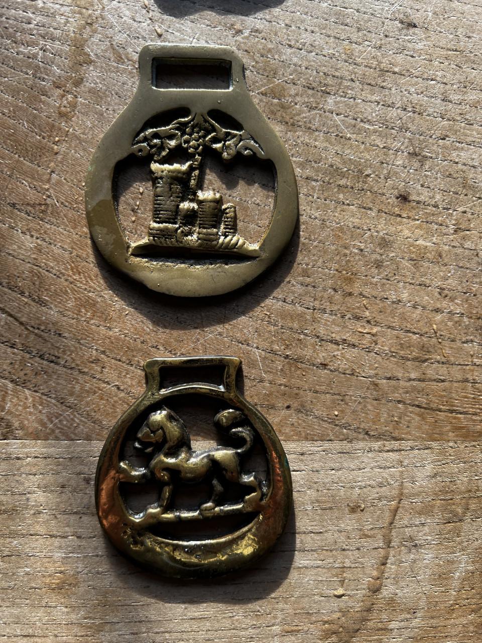 WIE WEET WAT DIT  voor hangers zijn?